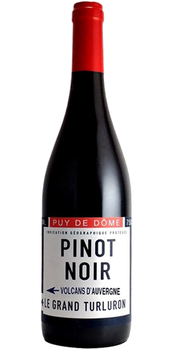 カーヴ・サン・ヴェルニ / ル・ピノ・ノワール 2017