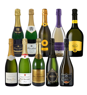 シャンパーニュ&クレマン入り!ヨーロッパ辛口スパークリング飲み比べ10本セット