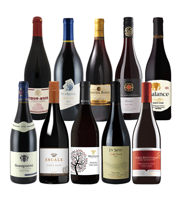 ブルゴーニュ入り！世界のピノ・ノワール飲み比べ10本セット